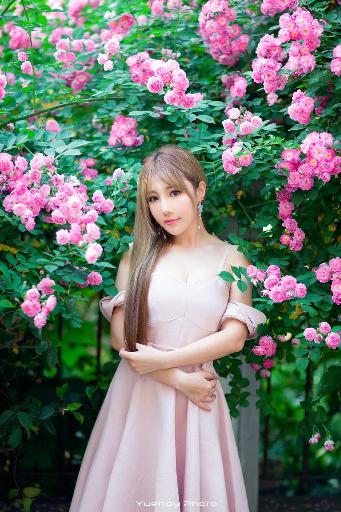 怪奇物语第一季在线观看